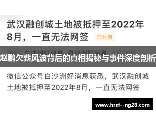 赵鹏欠薪风波背后的真相揭秘与事件深度剖析 赵鹏欠薪风波背后的真相揭秘与事件深度剖析