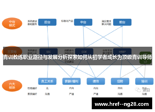 青训教练职业路径与发展分析探索如何从初学者成长为顶级青训导师